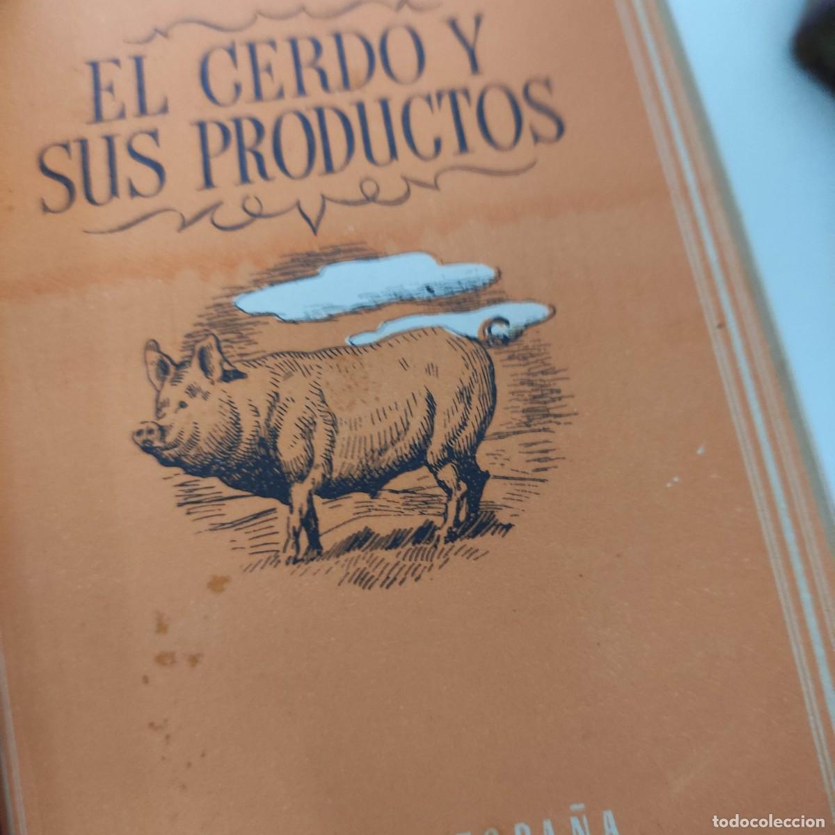 Libros antiguos: 6 TOMOS COLECCION UNIVERSO. EDICIONES ESPA&Ntilde;A. - Foto 12