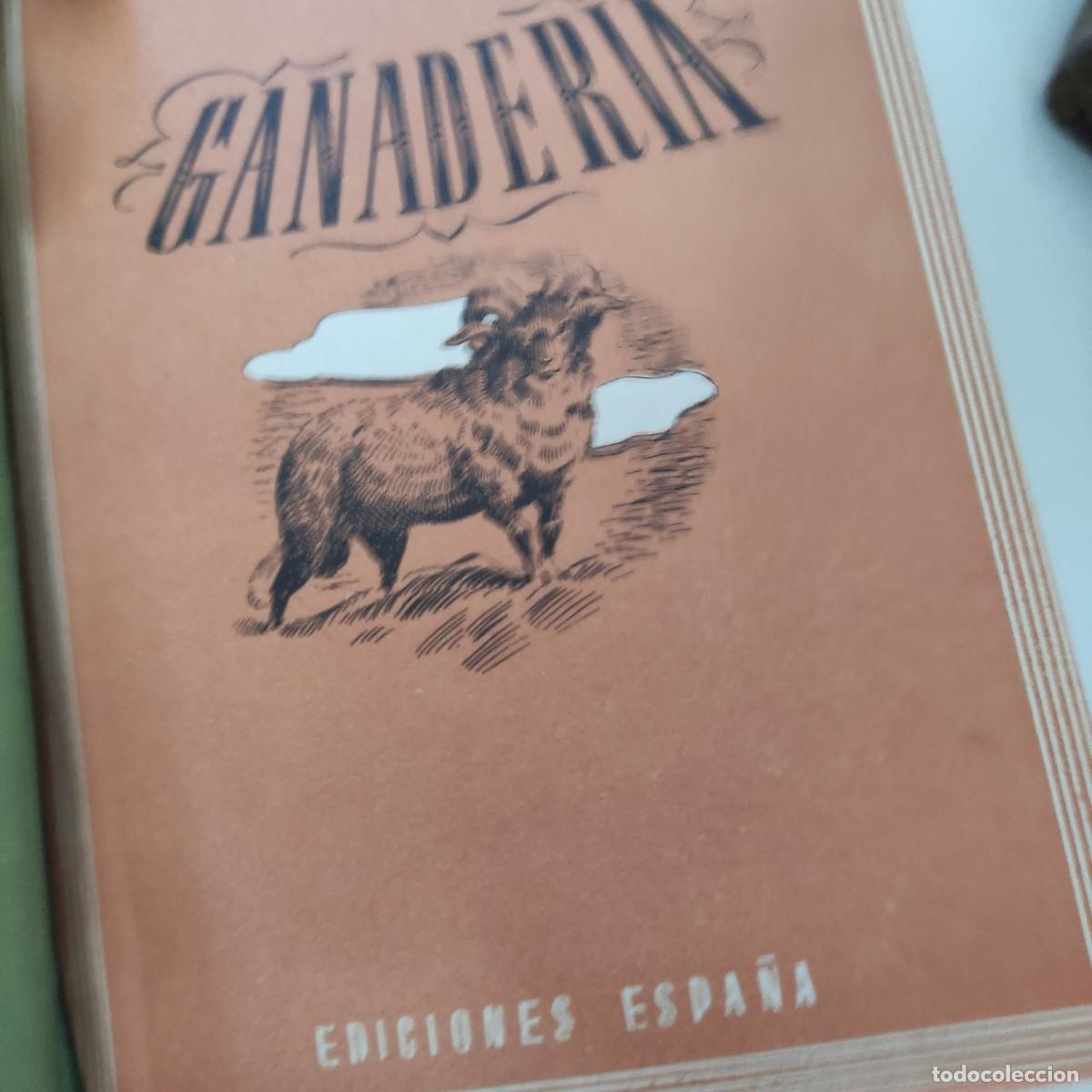 Libros antiguos: 6 TOMOS COLECCION UNIVERSO. EDICIONES ESPA&Ntilde;A. - Foto 13