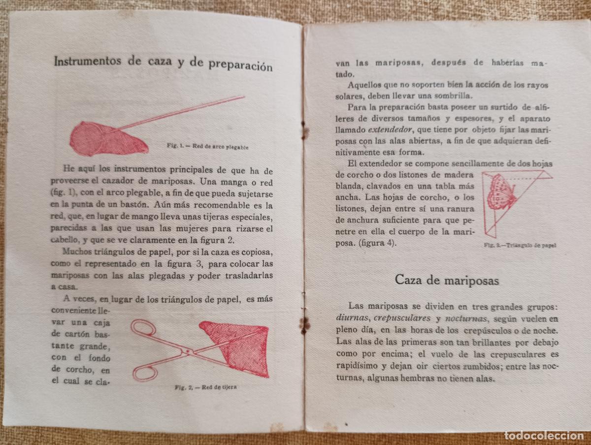 Libros antiguos: Colecci&oacute;n de mariposas. Pasatiempos. - Foto 2