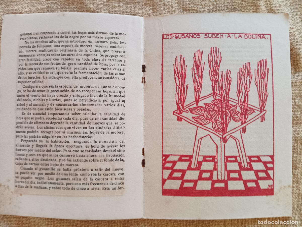 Libros antiguos: El gusano de seda. Pasatiempos. - Foto 2