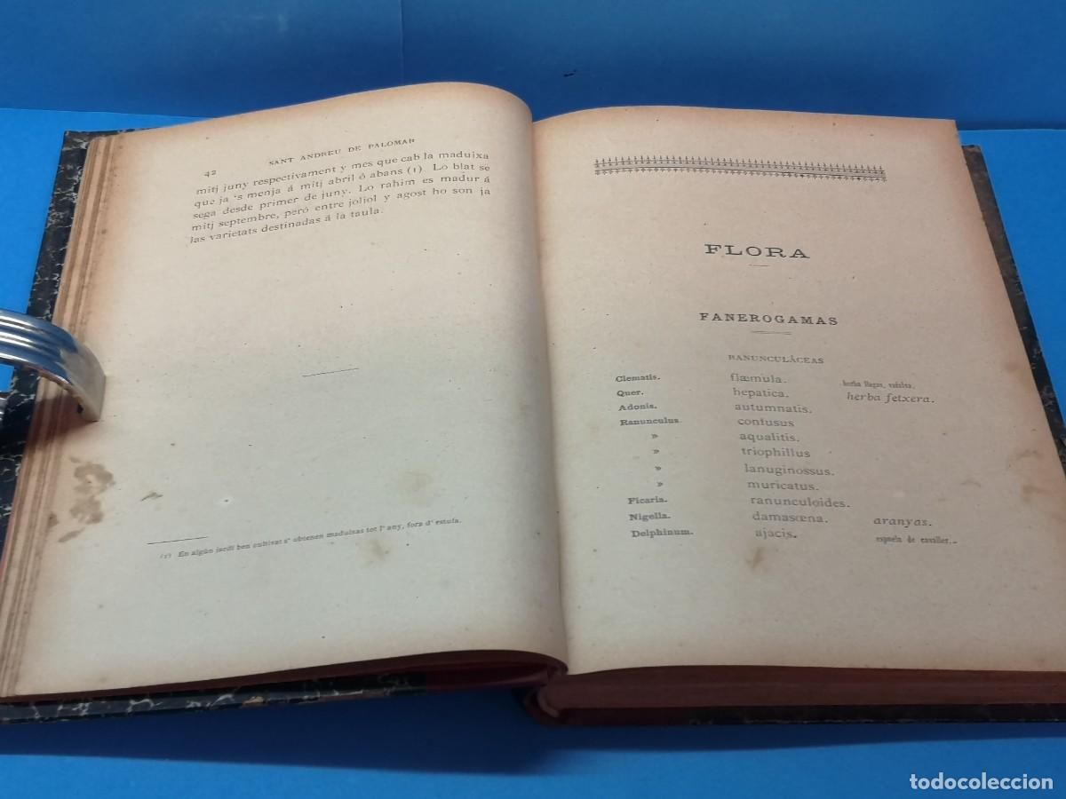 Libros antiguos: SANT ANDREU DE PALOMAR. - JOAN CLAP&Eacute;S Y CORBERA - Foto 5