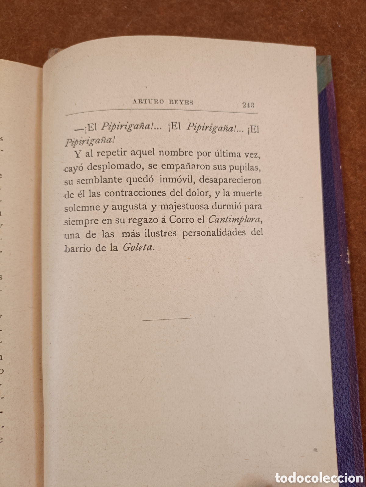 Libros antiguos: LA GOLETERA. ARTURO REYES. 1901. - Foto 8