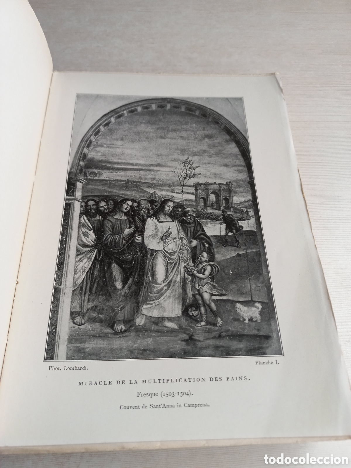 Libros antiguos: Le Sodoma. Giovan-Antonio Bazzi. Librairie Plon. - Foto 5