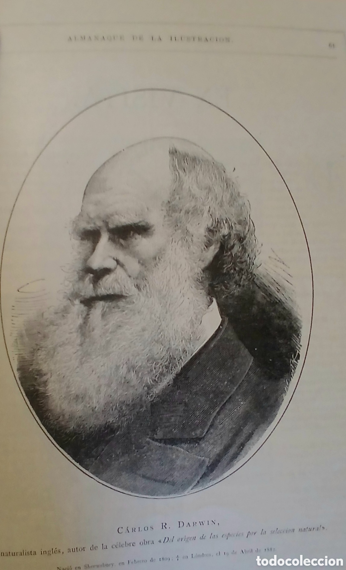 Libros antiguos: Almanaque la ilustraci&oacute;n 1883 - Foto 5
