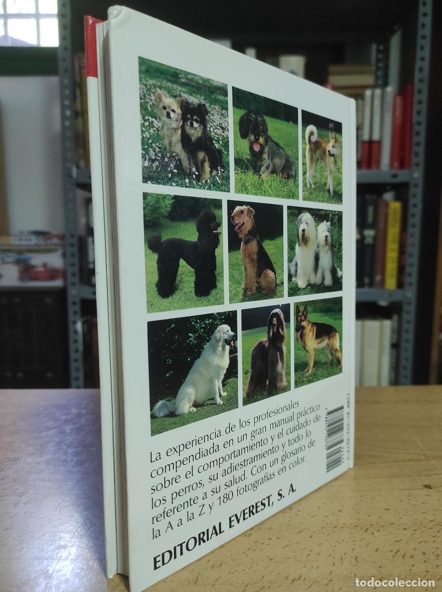 Libros antiguos: Todo sobre tu perro. Ulrich Klever - Foto 2