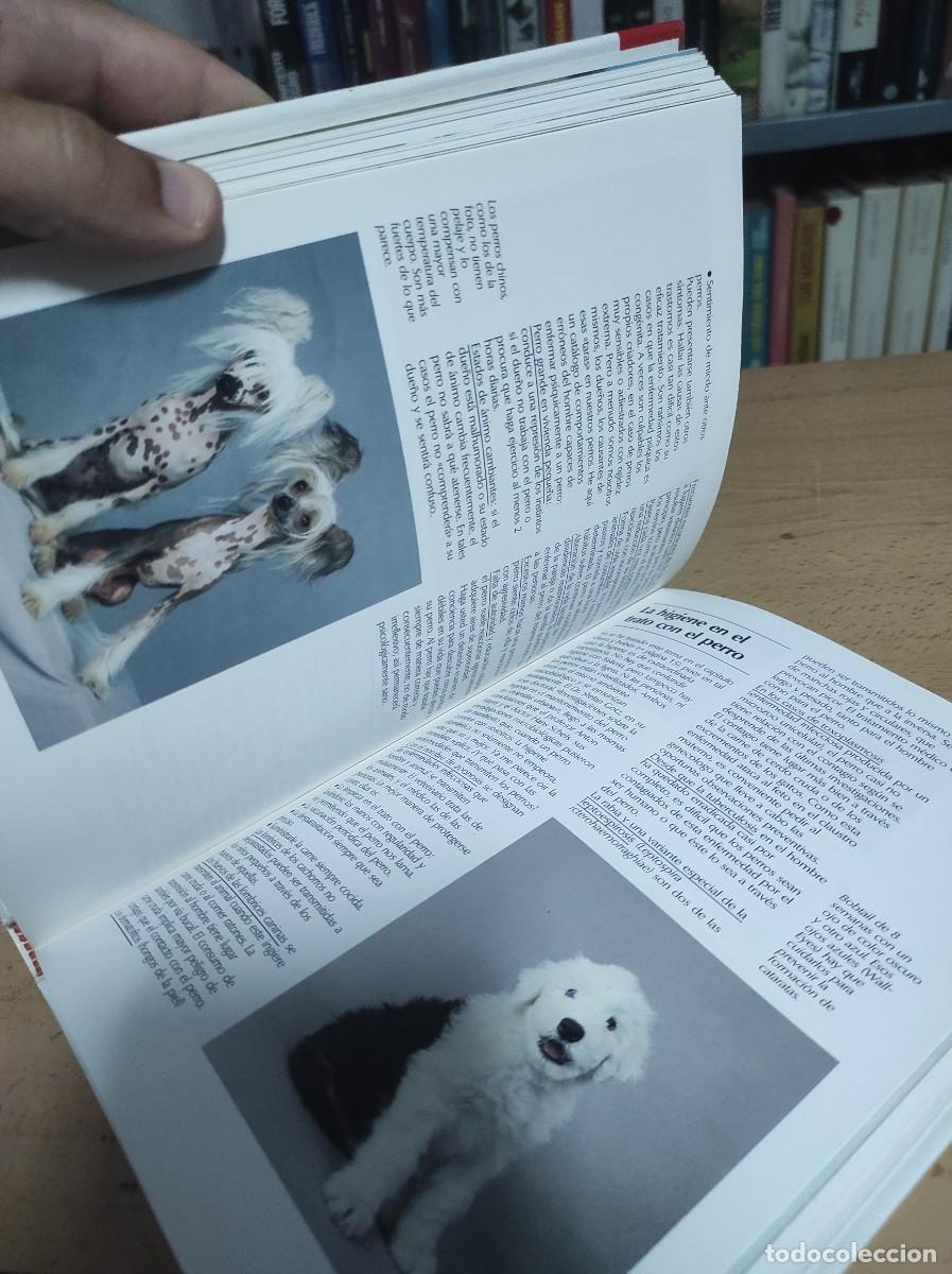 Libros antiguos: Todo sobre tu perro. Ulrich Klever - Foto 3
