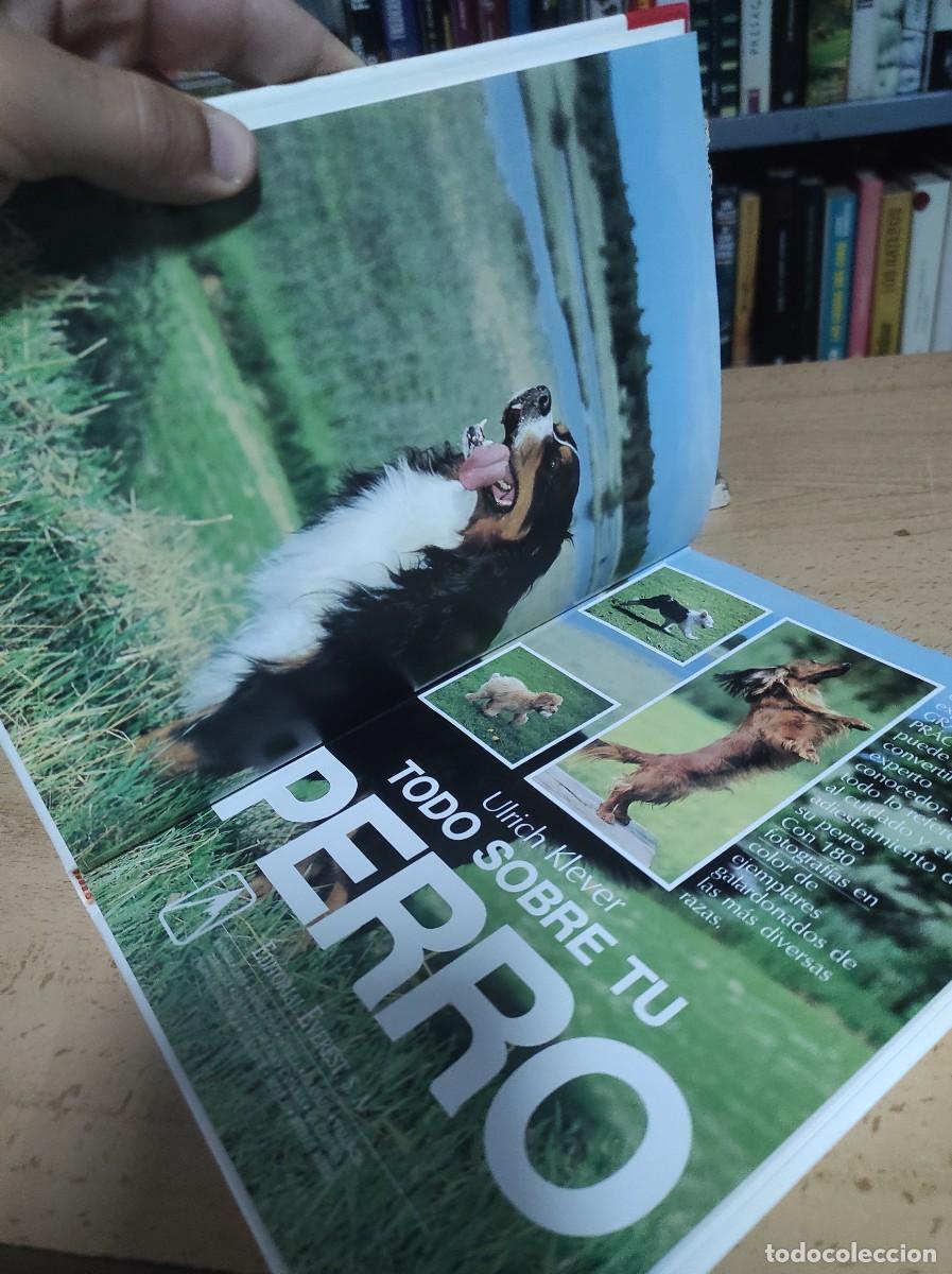 Libros antiguos: Todo sobre tu perro. Ulrich Klever - Foto 4