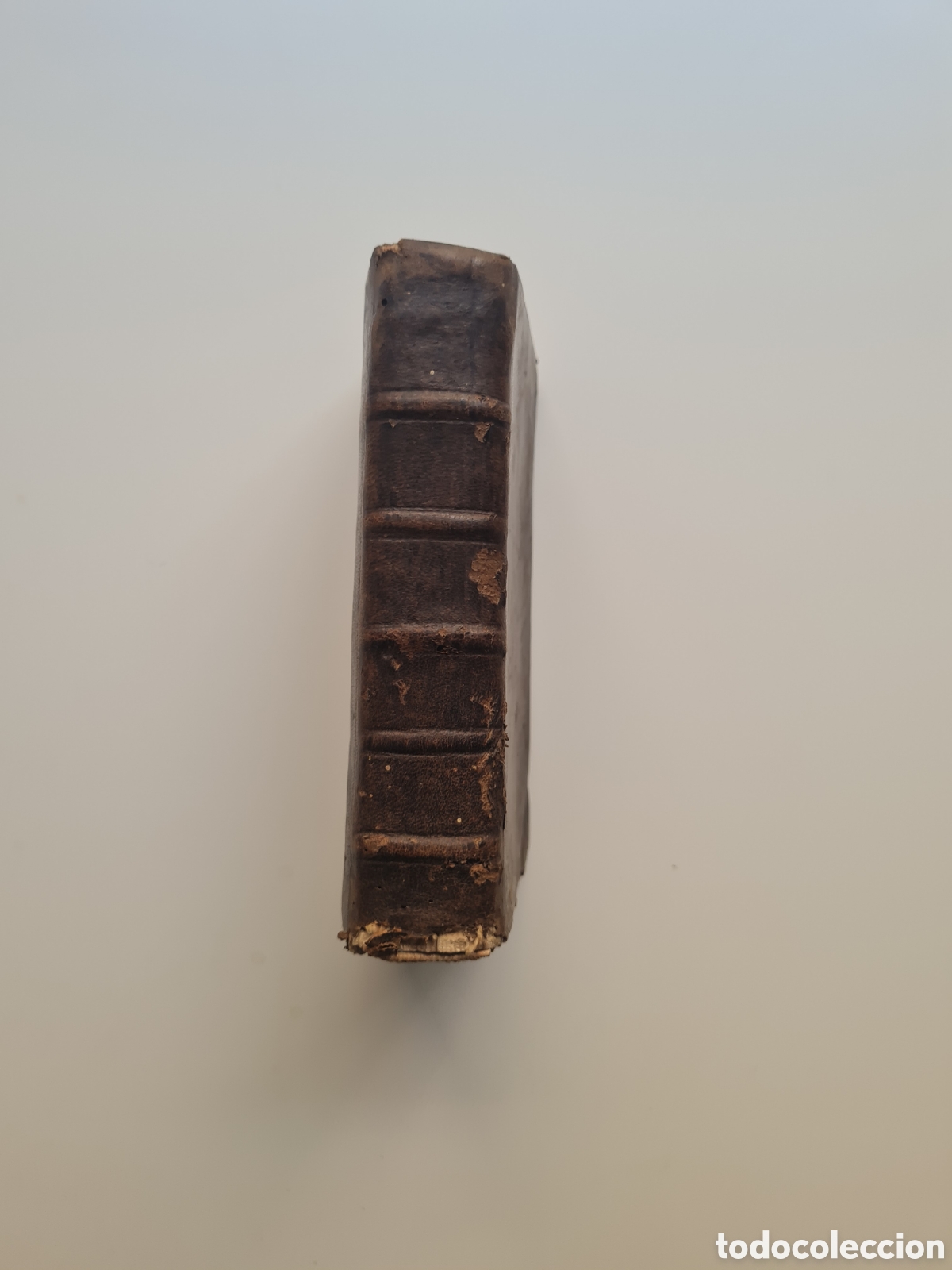 Libros antiguos: Caius Julius Caesaris Quae extant (Jos. Scaglieri.) - Foto 3