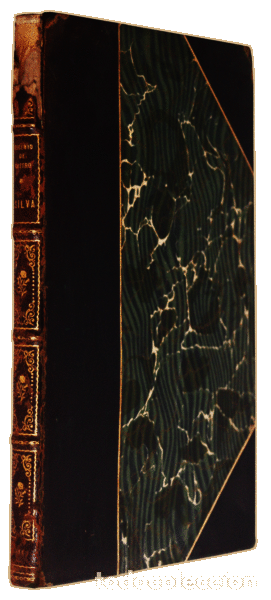 Libros antiguos: CASTRO. (Eugenio de) - SILVA. - Foto 3