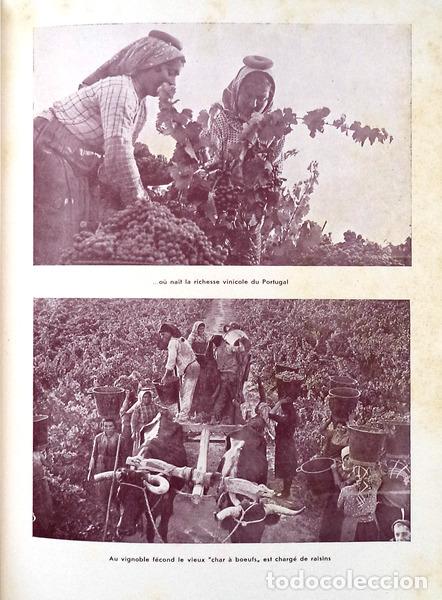 Libros antiguos: CONGR&Egrave;S (V&ordm;) INTERNATIONAL DE LA VIGNE ET DU VIN - Foto 2
