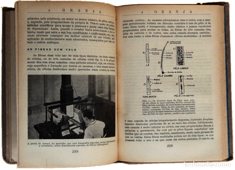 Libros antiguos: GRANJA (A). - Foto 2