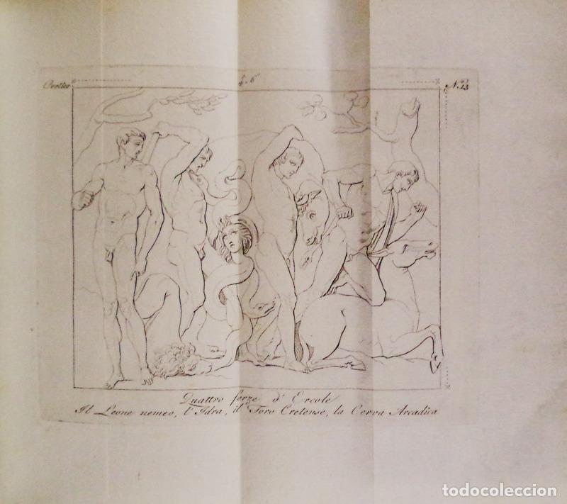 Libros antiguos: SCULTURE DEL PALAZZO DELLA VILLA BORGHESE - Foto 2