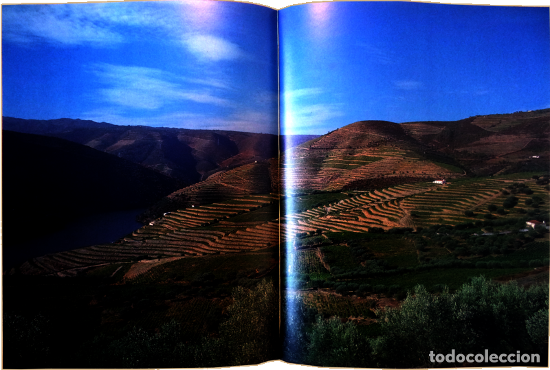 Libros antiguos: BARRETO. (Ant&oacute;nio) - DOURO. - Foto 3