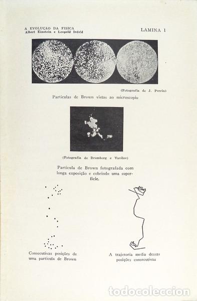 Libros antiguos: EINSTEIN. (Albert) e Leopold Infeld. - A EVOLU&Ccedil;&Atilde;O DA F&Iacute;SICA. - Foto 3