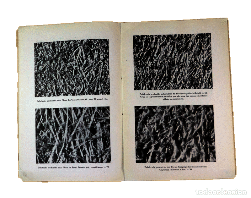 Libros antiguos: SEABRA. (Luiz S.V. de) - O PROBLEMA NACIONAL DA CELULOSE. - Foto 3