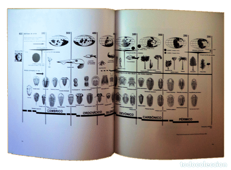 Libros antiguos: GON&Ccedil;ALVES. (Cl&aacute;udia) - FERNANDO LANHAS. - Foto 3