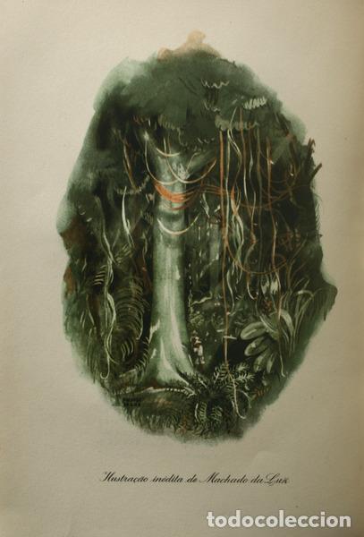 Libros antiguos: FERREIRA DE CASTRO. (Jos&eacute; Maria) - A SELVA. - Foto 2