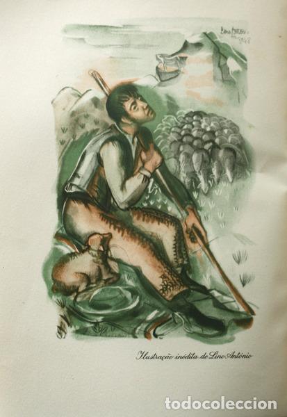 Libros antiguos: FERREIRA DE CASTRO. (Jos&eacute; Maria) - A L&Atilde; E A NEVE. - Foto 2