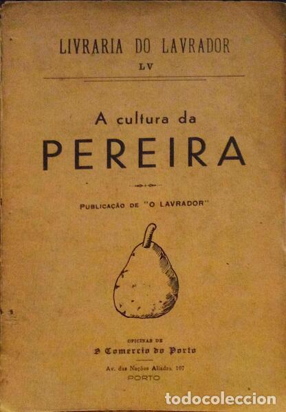 Libros antiguos: CULTURA (A) DA PEREIRA. - Foto 1