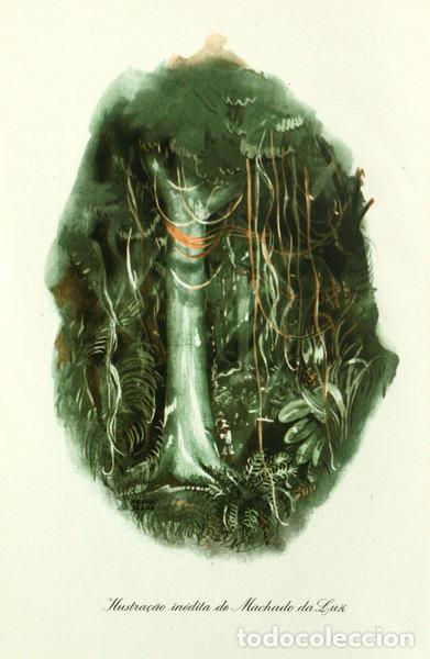 Libros antiguos: FERREIRA DE CASTRO. (Jos&eacute; Maria) - A SELVA. - Foto 2