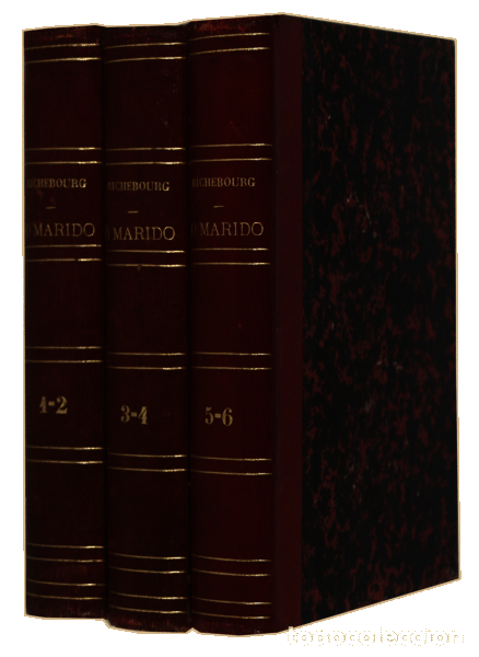 Libros antiguos: RICHEBOURG. (Emile) - O MARIDO. [3 VOL.] - Foto 3