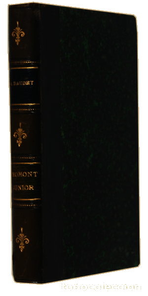 Libros antiguos: DAUDET. (Alfonse) - FROMONT JUNIOR E RISLER SENIOR. - Foto 2