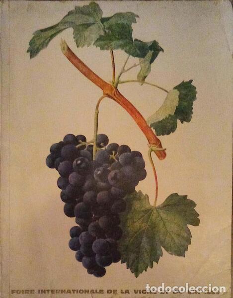 Libros antiguos: SCIENCE ET VIN, N.&ordm; 6 - OCTOBRE 1959. - Foto 1