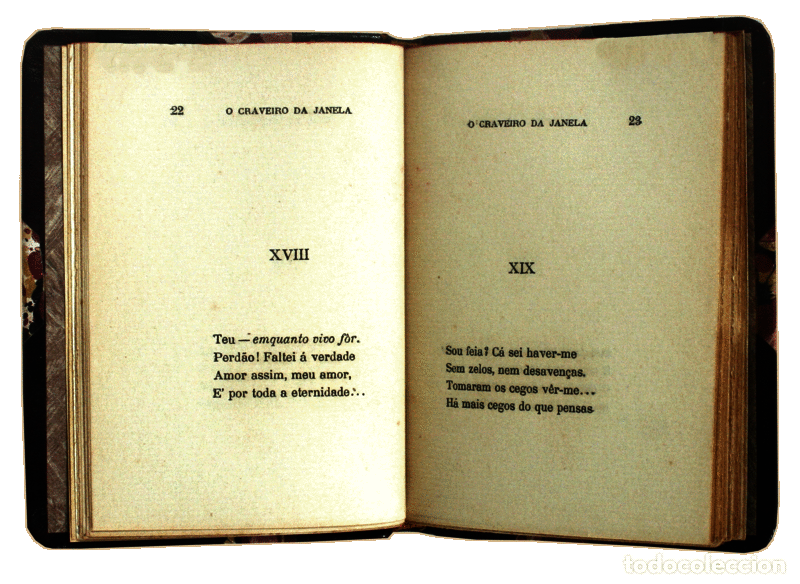 Libros antiguos: GIL. (Augusto) - O CRAVEIRO DA JANELA. - Foto 2