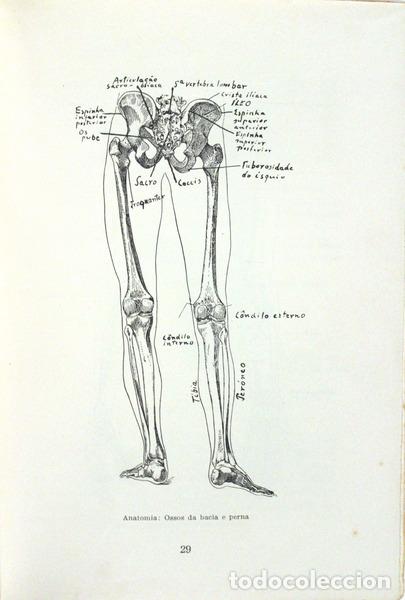 Libros antiguos: VASQUES HOMEM. (Fred) - MANUAL DE MASSAGEM. - Foto 3