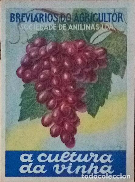 Libros antiguos: CULTURA (A) DA VINHA. - Foto 1