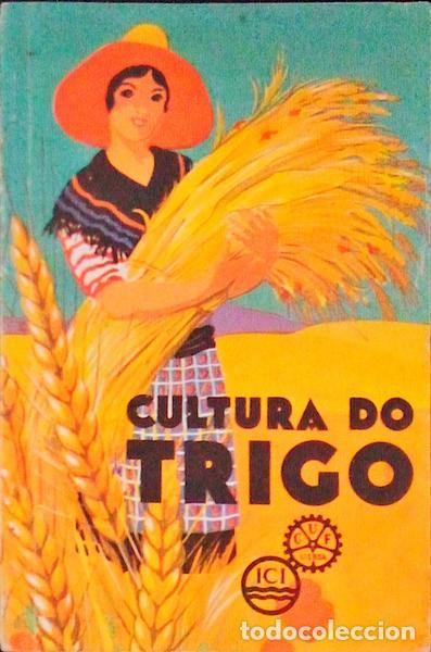 Libros antiguos: SEABRA. (Ant&oacute;nio Lu&iacute;s de) - O TRIGO. - Foto 1
