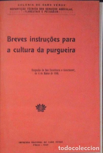 Libros antiguos: CONJUNTO DE FOLHETOS T&Eacute;CNICOS.