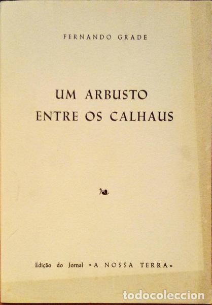Libri antichi: GRADE. (Fernando) - UM ARBUSTO ENTRE OS CALHAUS.
