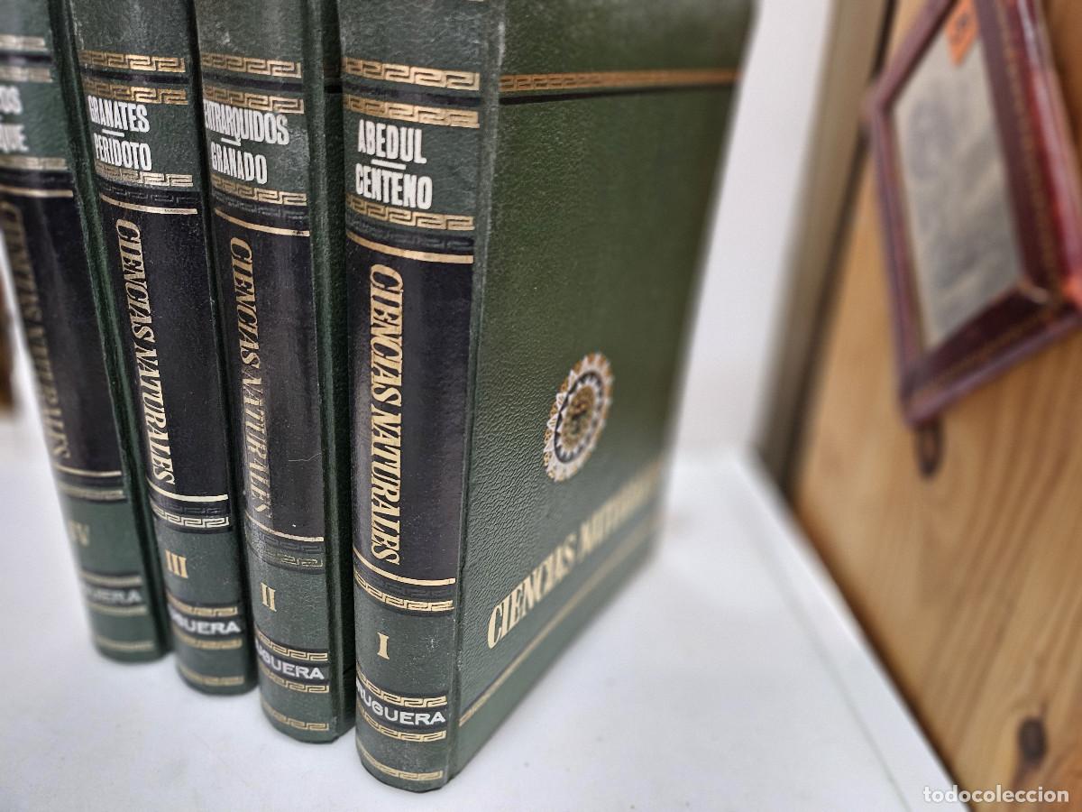Libros antiguos: 4 tomos de ciencias de la naturaleza - Foto 4