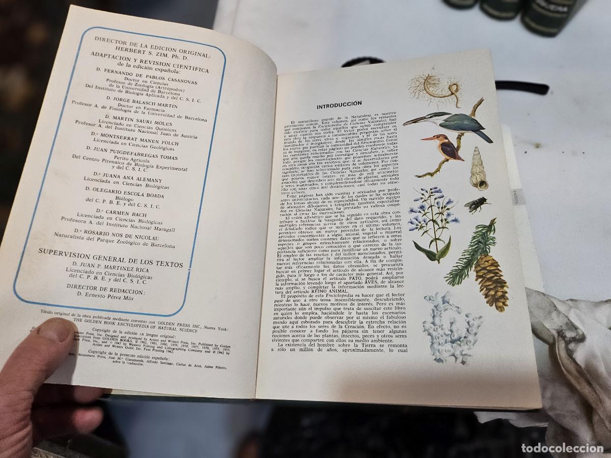 Libros antiguos: 4 tomos de ciencias de la naturaleza - Foto 6