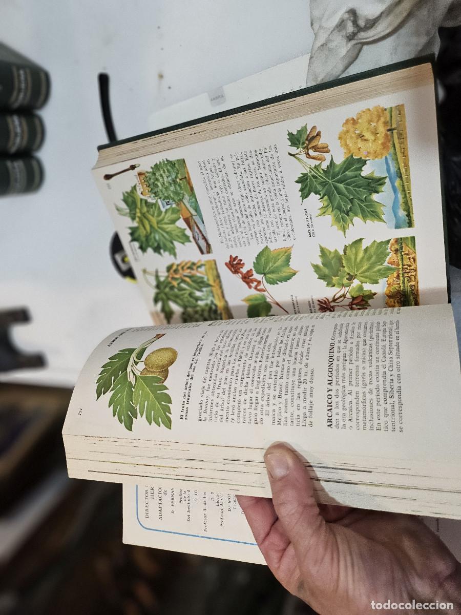 Libros antiguos: 4 tomos de ciencias de la naturaleza - Foto 7