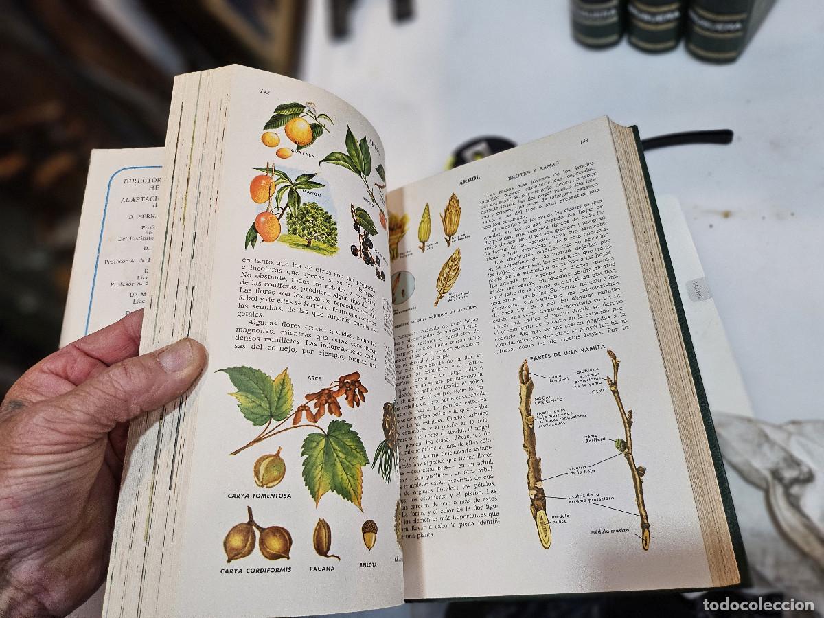 Libros antiguos: 4 tomos de ciencias de la naturaleza - Foto 8