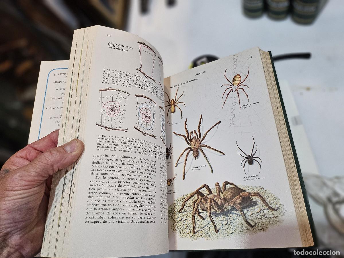 Libros antiguos: 4 tomos de ciencias de la naturaleza - Foto 9