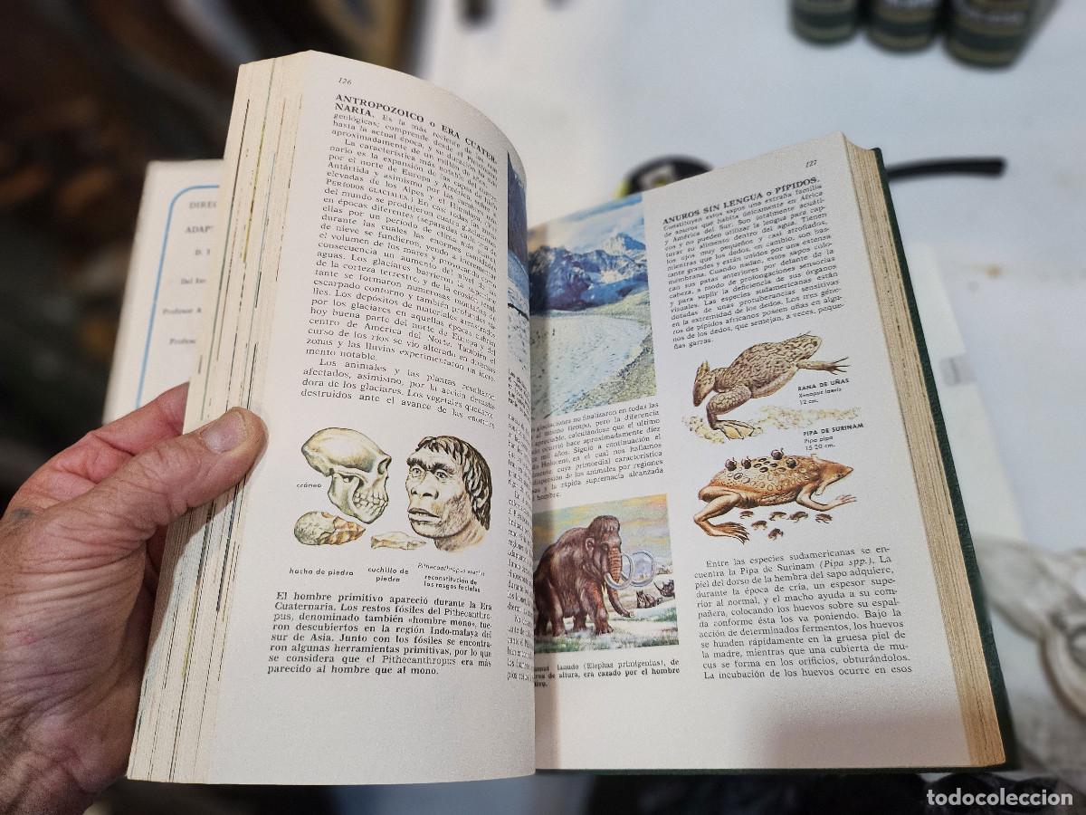 Libros antiguos: 4 tomos de ciencias de la naturaleza - Foto 10