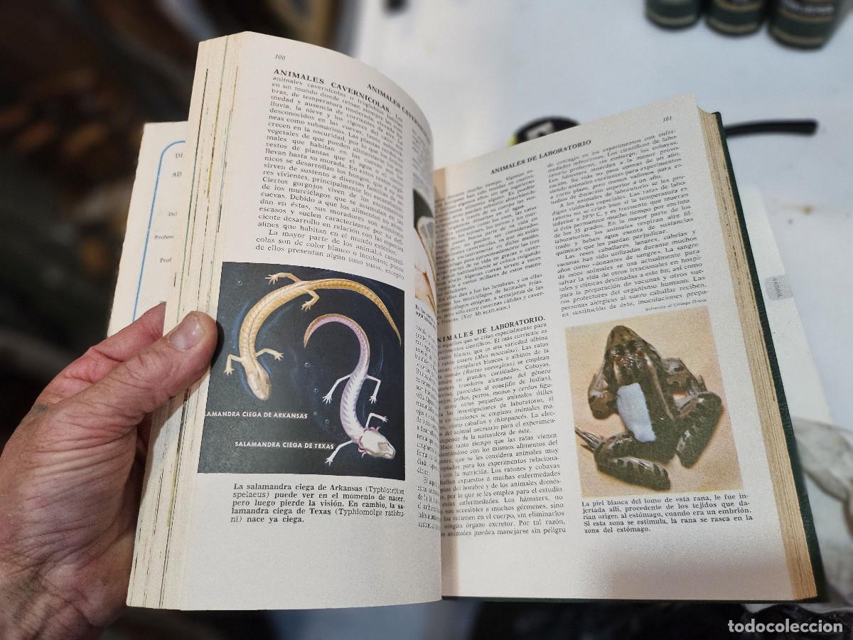 Libros antiguos: 4 tomos de ciencias de la naturaleza - Foto 11
