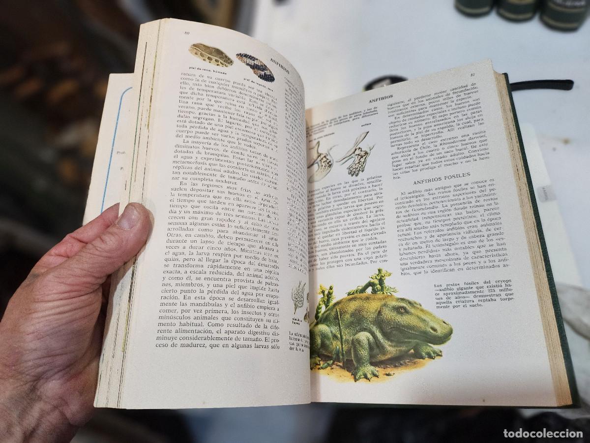 Libros antiguos: 4 tomos de ciencias de la naturaleza - Foto 12