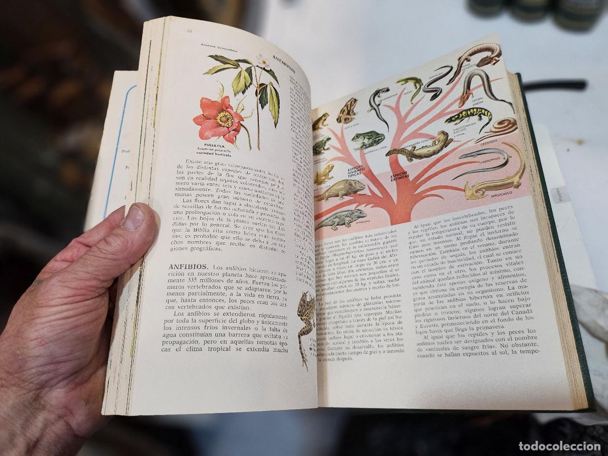 Libros antiguos: 4 tomos de ciencias de la naturaleza - Foto 13