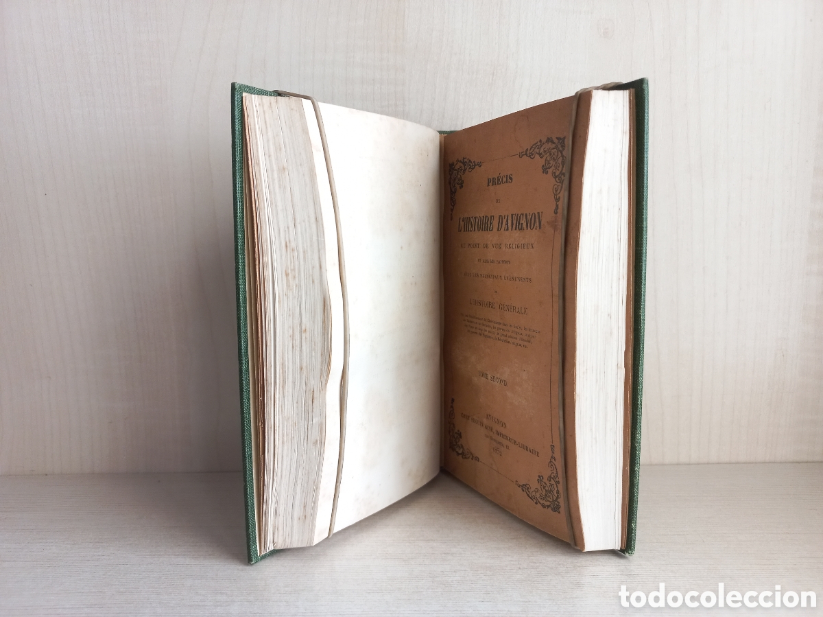 Libros antiguos: Precis de lhostoire dAvignon. Seguin Aign&eacute;, 1852. - Foto 5