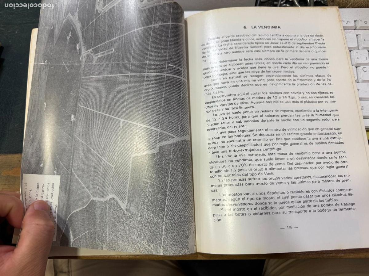 Libros antiguos: LIBRO EL VINO DE JEREZ - A&Ntilde;O 1981 - 48 PAG - Foto 6