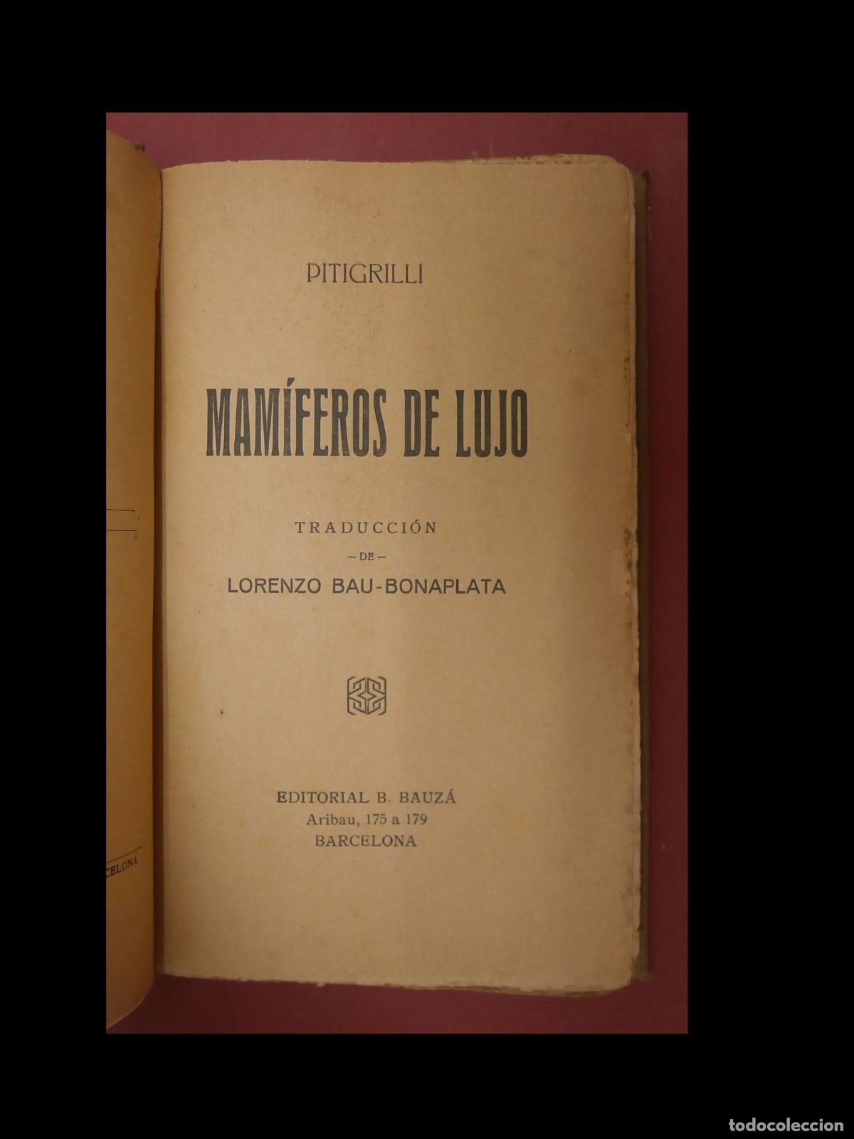 Libros antiguos: Mam&iacute;feros de Lujo. Pitigrilli - Foto 6