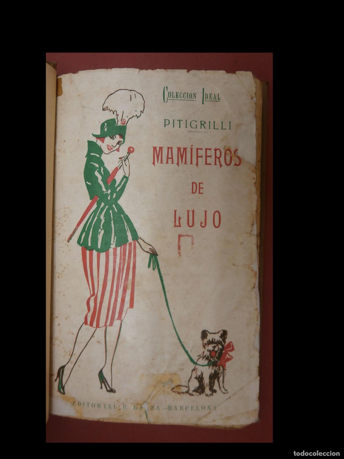Libros antiguos: Mam&iacute;feros de Lujo. Pitigrilli - Foto 1