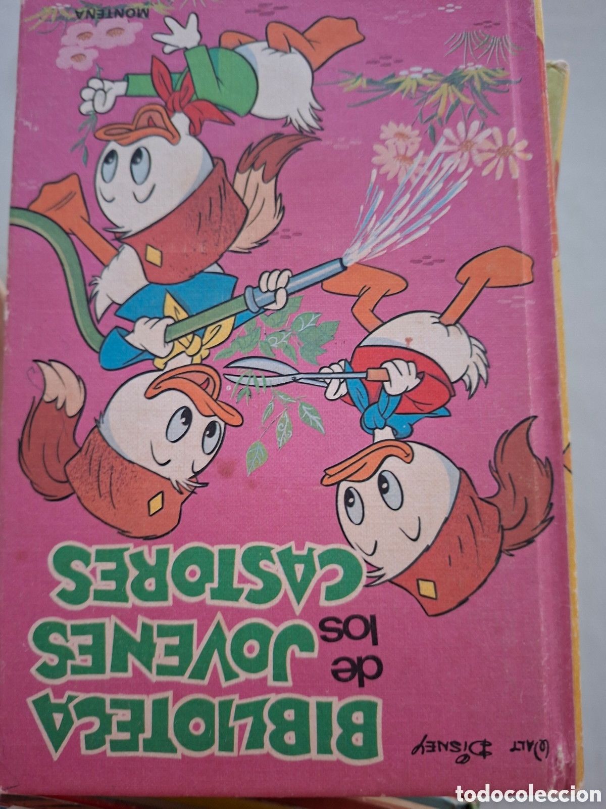 Libros antiguos: Enciclopedia J&oacute;venes Castores - Foto 1