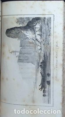 Libros antiguos: Iles de L&acute;Afrique par M. D&acute;AVEZAC - Foto 3