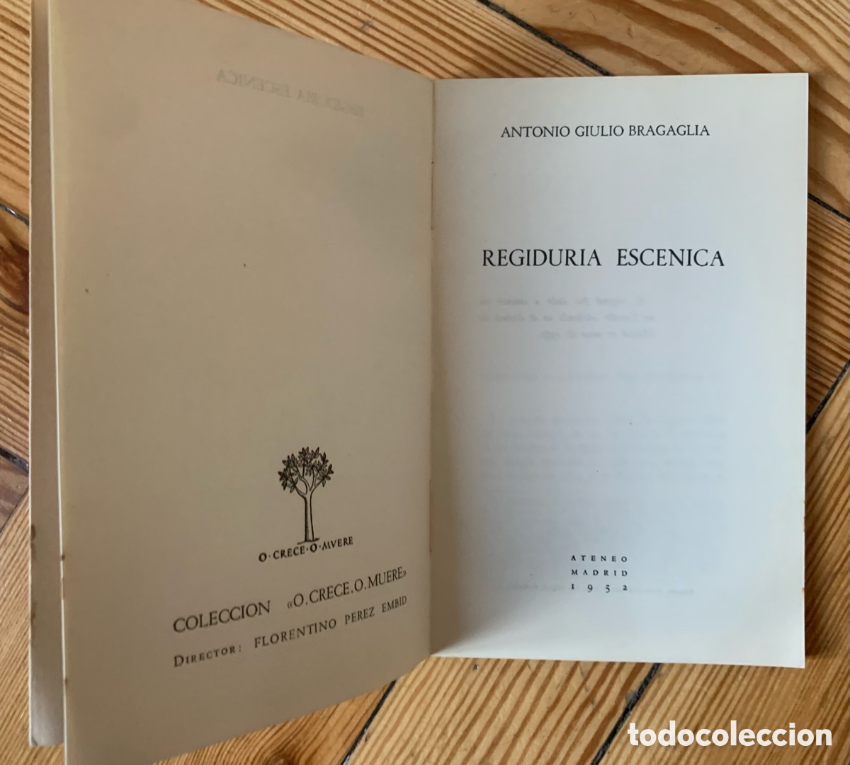 Libros antiguos: Pareja de libros antiguos - Foto 3