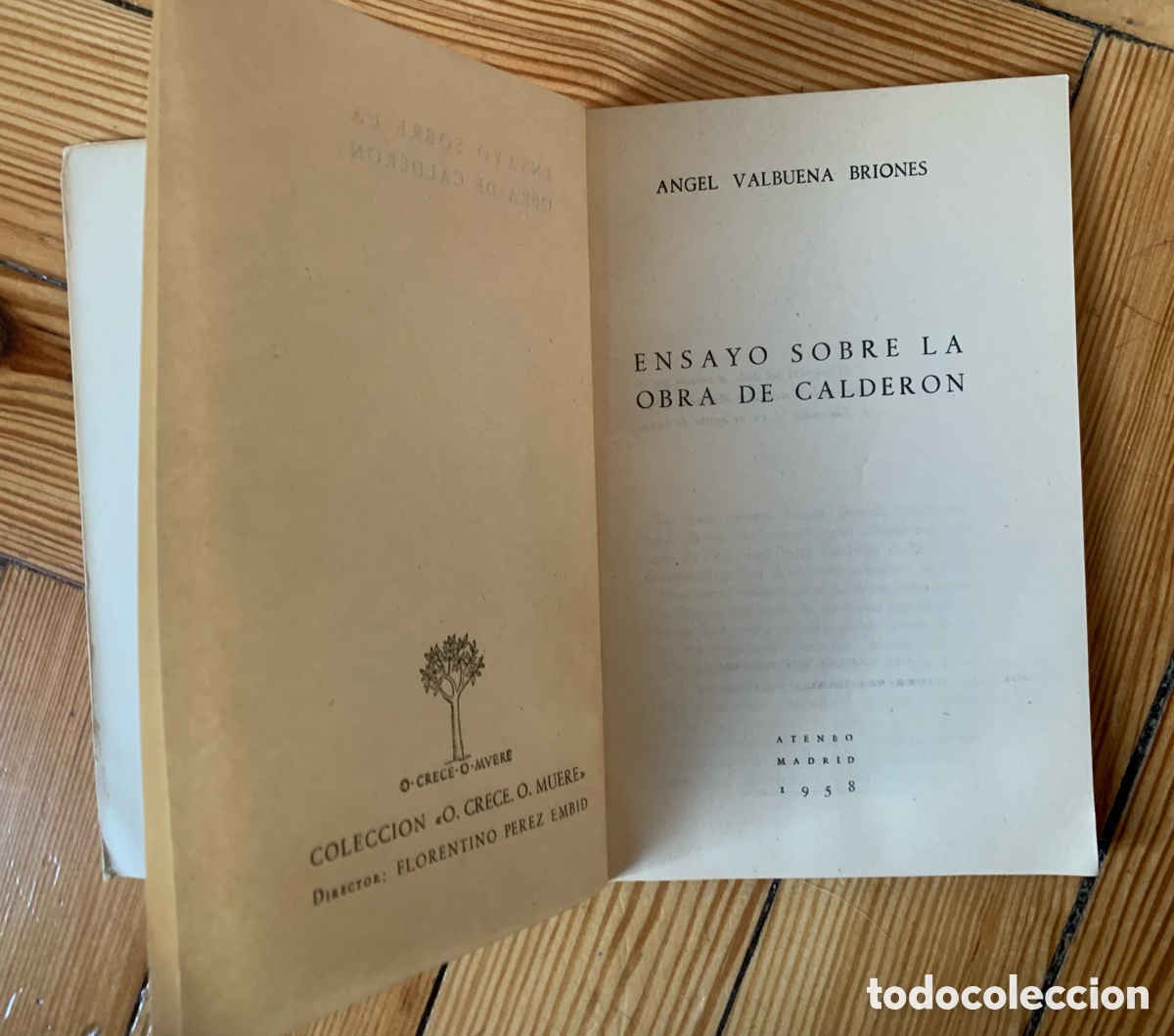 Libros antiguos: Pareja de libros antiguos - Foto 5